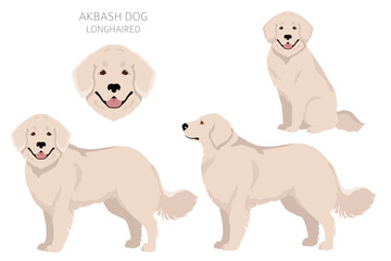 Akbash dog longhaired clipart. Different poses, coat colors set