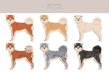 Akita Inu all colours clipart. Different coat colors set