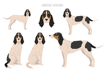 Ariege hound clipart. Different poses, coat colors set