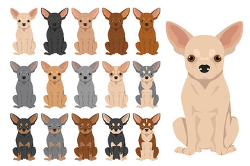 Fototapeta premium Chihuahua short haired clipart. All coat colors set. Different position. All dog breeds characteristics infographic