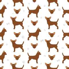 Chihuahua short haired seamless pattern