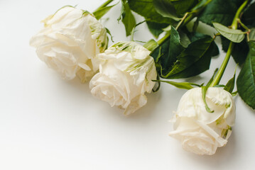 White roses on a white background. Bouquet of white roses. Bouquet of flowers.