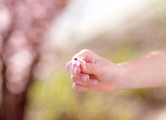 person holding a flower