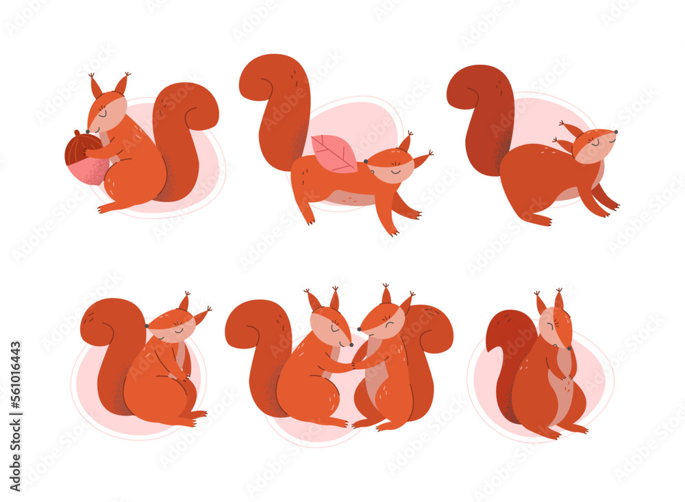 Canvas Prints cute squirrel in different poses set. wild funny red fluffy animal cartoon vector illustration