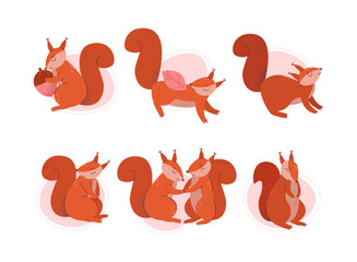 Cute squirrel in different poses set. Wild funny red fluffy animal cartoon vector illustration