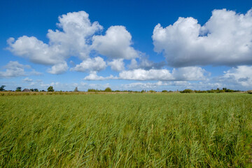 The Weerribben-Wieden National Park