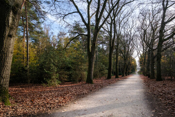 Nature reserve Sallandse Heuvelrug