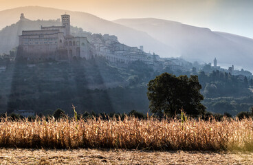 Assisi. Veduta in controluce della città dalla campagna circostante all' alba.