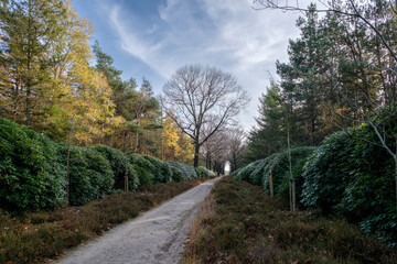 Nature reserve Sallandse Heuvelrug