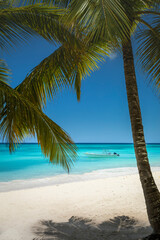 Fototapeta na wymiar Tropical paradise, sand beach in caribbean Saona Island, Punta Cana, Dominican