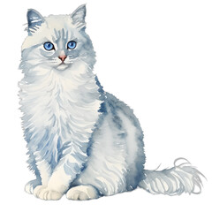 white cat drawn digital painting watercolor illustration