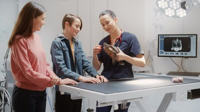 Young Mother and Son Bring a Tortoise to a Contemporary Veterinary Clinic for a Check Up Visit. Female Veterinarian Holding the Turtle, Examining, Talking to the Family About Their Pet