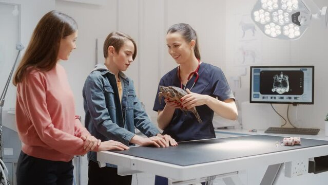 Beautiful Veterinarian Holding a Turtle in a Modern Veterinary Clinic. Young Mother with a Handsome Son Talking to the Vet About Their Tortoise, Female Examining the Pet
