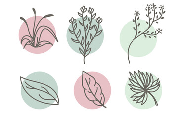 set of flower hand drawn design with leaves