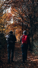 Fototapeta premium Two people on a path in the forest in autumn colors