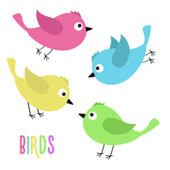 Bird icon set. Cute kawaii cartoon funny baby character. Birds collection. Flying animal. Decoration element. Colorful sticker print. Flat design. Isolated. White background.