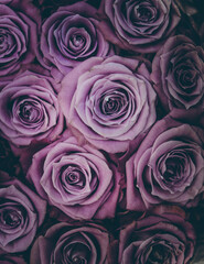 Bunch of purple roses, close up of a boquet, vertical