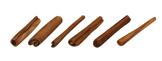 Watercolor cinnamon sticks spices. Hand-drawn illustration isolated on white background. Perfect concept for cafe, cinnamon for cooking and confectionery, restaurant, menu, cards