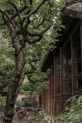 Fototapeta na wymiar Suzhou ancient Chinese garden 