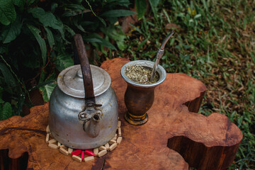 Mate con yerba mate y pava tradicional, bebida tradicional argentina y uruguaya, disfrutando de un buen mate sobre un tronco de árbol en plena naturaleza, respirando aire puro.