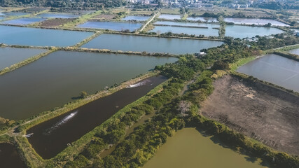 Fototapeta premium 6 Jan 2023 the landscape of Fung Lok Wai Fish Pond