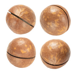 macadamia nuts set isolated on white. the entire image in sharpness.