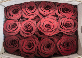 bouquet of roses for sale in the box
