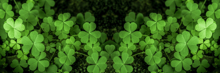 Fototapeta na wymiar Green background with three-leaved shamrocks, Lucky Irish Four Leaf Clover in the Field for St. Patricks Day holiday symbol. with three-leaved shamrocks, St. Patrick's day holiday symbol, earth day..