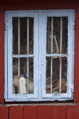 Altes Fenster in verfallenem Schuppen - obrazy, fototapety, plakaty