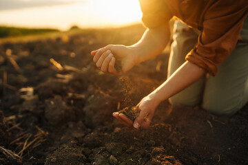 Female hands checking soil health before growth a seed of vegetable or plant seedling. Business or...