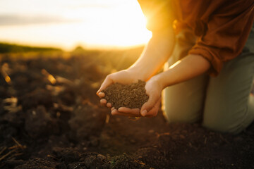 Female hands checking soil health before growth a seed of vegetable or plant seedling. Business or...