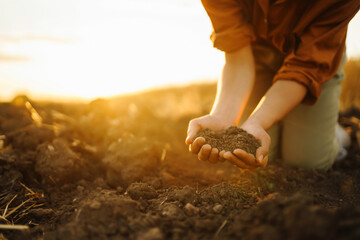 Female hands checking soil health before growth a seed of vegetable or plant seedling. Business or ecology concept.