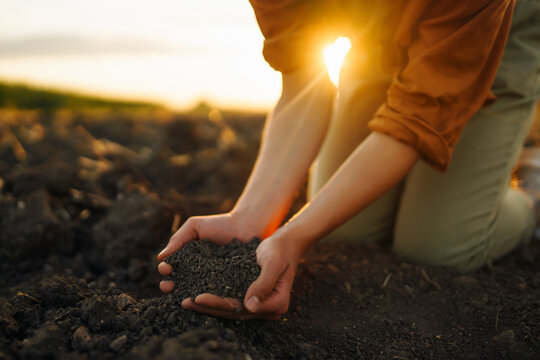 Female hands checking soil health before growth a seed of vegetable or plant seedling. Business or ecology concept.