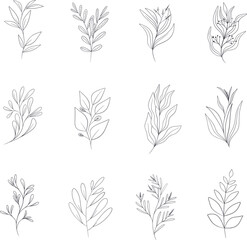 Fototapeta na wymiar Hand drawn floral herbs set elements