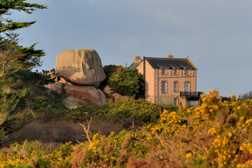Paysage dans la lande de Ploumanac'h en Bretagne - France