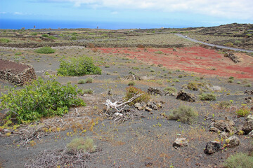 Terreno desertico a Lanzarote con l'azzurro del mare in fondo.