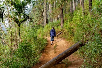 Young woman with blue raincoat from behind hiking alone at Sri Lankan forest. Beautiful dense forest at spring time.