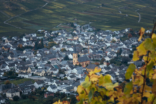 Beautiful hills and vineyards surrounding Trittenheim village in at Leiwen, Rheinland-Pfalz Germany.
