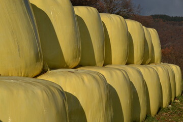 Ballots de paille, bottes de foin, balles de paille jaune, balles de foin enveloppées