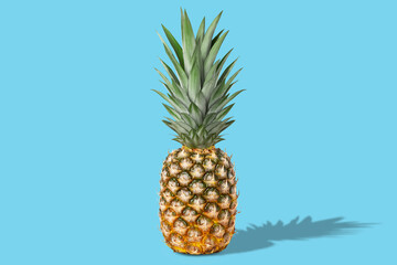 Fresh juicy tasty whole pineapple. On a blue background.