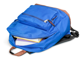 Colorful classic stylish school backpacks