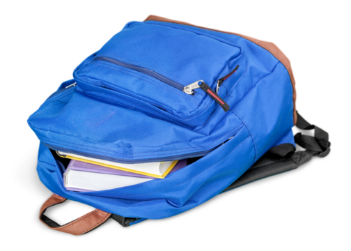 Colorful classic stylish school backpacks