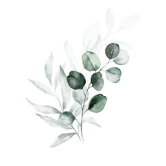 Watercolor floral illustration bouquet - green leaf branches collection, for wedding stationary, greetings, wallpapers, fashion, background. Eucalyptus, olive, green leaves, etc.