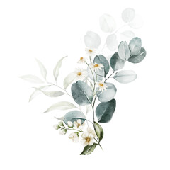 Fototapeta premium Watercolor floral illustration bouquet - white flowers, green leaf branches collection, for wedding stationary, greetings, wallpapers, fashion, background. Eucalyptus, olive, green leaves, etc.