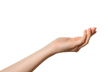 Beautiful woman open hand sign, isolated. Palm up.