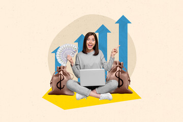 Creative collage picture of excited successful girl use netbook hold dollar bills banknotes growing...