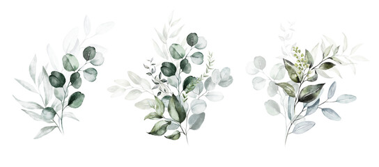 Watercolor floral illustration set - green leaf branches collection, for wedding stationary, greetings, wallpapers, fashion, background. Eucalyptus, olive, leaves, chamomile.