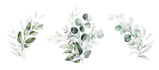 Watercolor floral illustration set - green leaf branches collection, for wedding stationary, greetings, wallpapers, fashion, background. Eucalyptus, olive, leaves, chamomile.