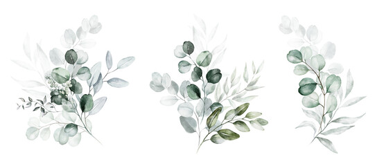 Watercolor floral illustration set - green leaf branches collection, for wedding stationary, greetings, wallpapers, fashion, background. Eucalyptus, olive, leaves, chamomile. - obrazy, fototapety, plakaty