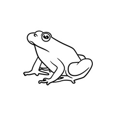Frog line art drawing illustration